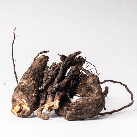 Impikayiboni_Diragadiboni_Swira a swibone